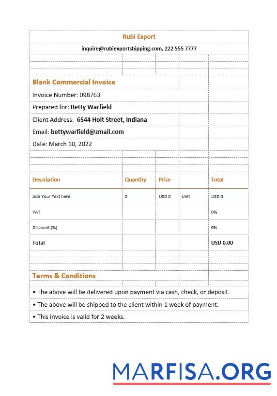 Blank Blank Commercial Invoice real example